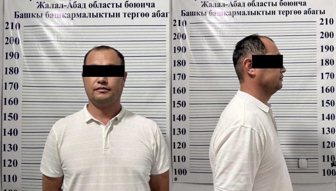 Камчыбек Ташиевге “менин коррупцияга тиешем жок” деген жаран кармалды
