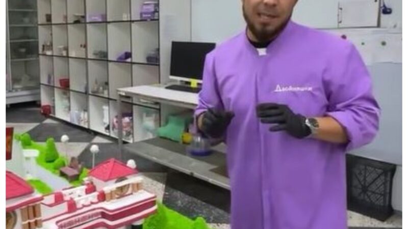 Жалал-Абаддыктар Эгемендүүлүк күнүнө карата өзгөчө торт жасашты