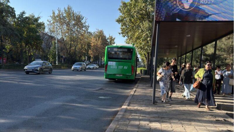 Элдик пикир: «Алдыраак токтоп, кийинки автобуска орун берсеңер болот экен го»