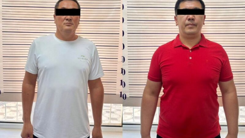 Айыл чарба министрлигиндеги коррупция. Өзбекстанга 40 миңден ашык бодо мал экспорттолгон
