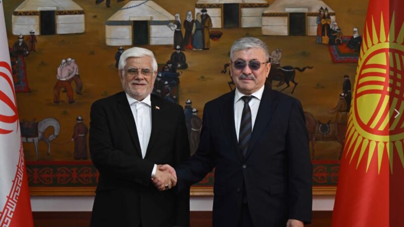 Адылбек Касымалиев Ирандын биринчи вице-президенти менен жолукту