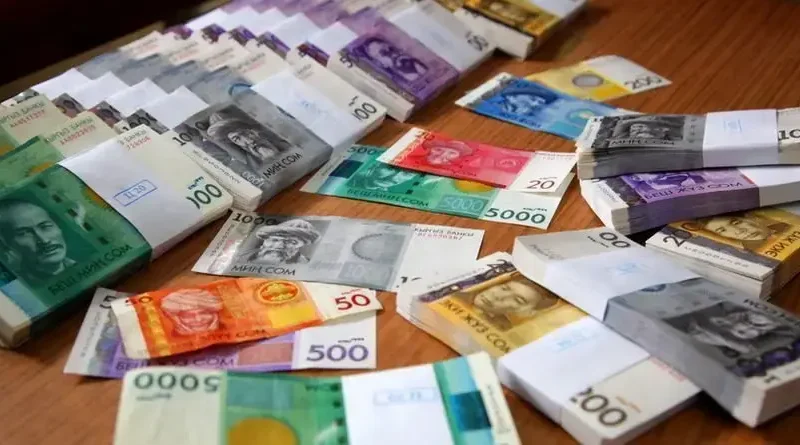 Бюджетке 400 млн салык төлөбөй жүргөн жаранга издөө жарыяланды