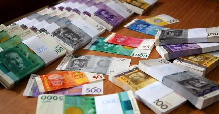 Бюджетке 400 млн салык төлөбөй жүргөн жаранга издөө жарыяланды