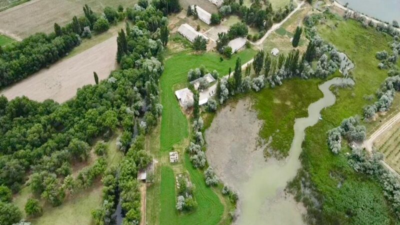 Аламүдүндө эс алуу лагери 3,22 гектар жери менен мамлекетке кайтарылды
