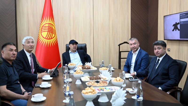 Садыр Жапаров Нарын облусун өнүктүрүү пландары менен таанышты