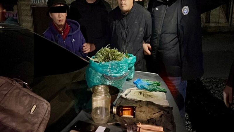 Балыкчыда кол өнөрчүлүк ыкмасы менен баңгизат ташыган жаран кармалды