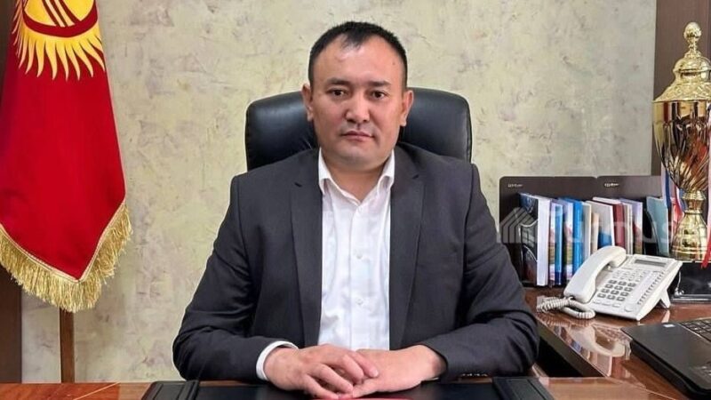 Сокулукта акимдин орун басары мыйзамсыз жер сатууга шектелүүдө