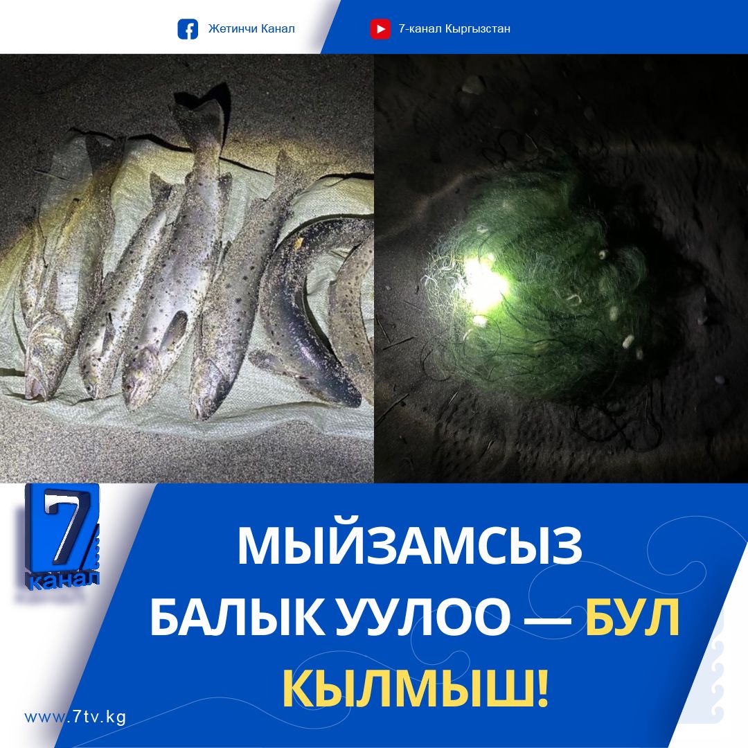 Мыйзамсыз балык уулоо — бул кылмыш!