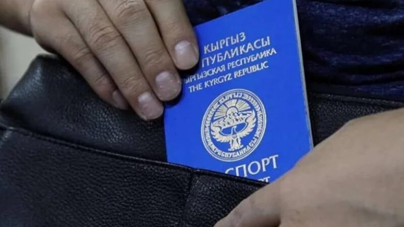 Бүгүн мигранттардын Россияда жүрүүсүн мыйзамдаштыруунун мөөнөтү аяктайт