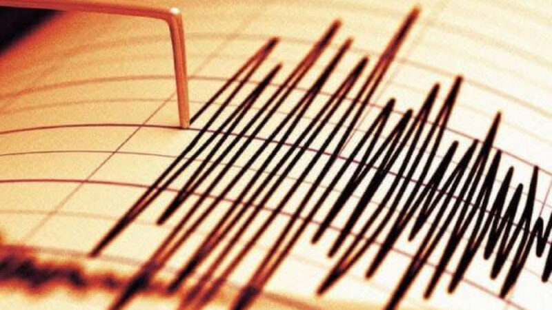 Өлкөдө күчү 4 баллга жеткен жер титирөө катталды