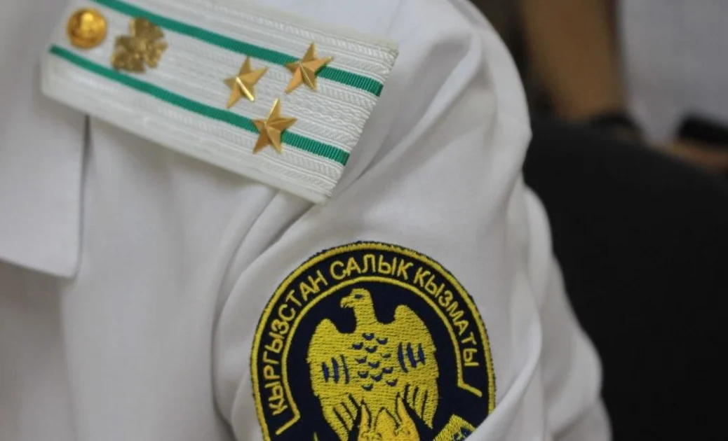 Алты айда 100 салык кызматкери жоопкерчиликке тартылды