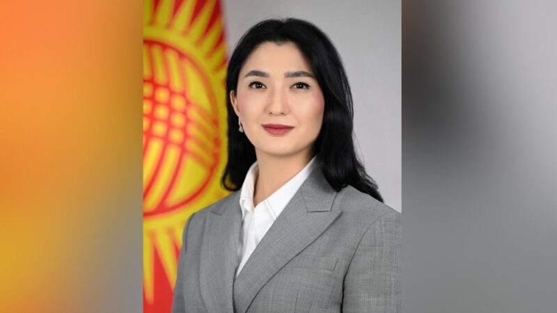 Беназир Нурланова экономика министринин орун басары болуп дайындалды