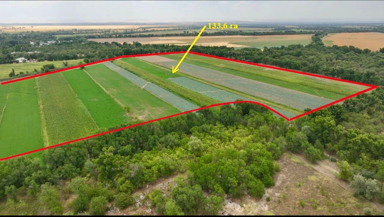 УКМК Чүйдөгү мыйзамсыз колдонууда жүргөн 795 гектар жерди кайтарды