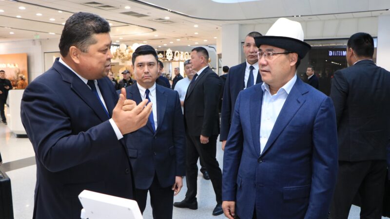 Садыр Жапаров парламентке кезексиз шайлоого даярдыктардын жүрүшү менен таанышты