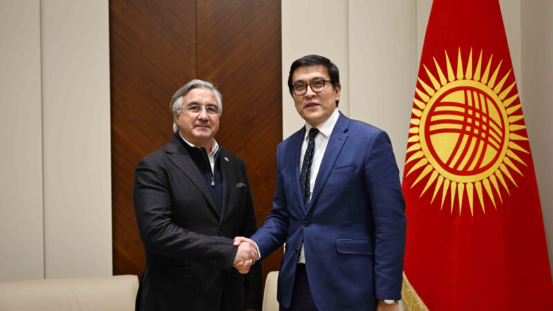 Кыргызстанга Татарстандын премьер-министринин орун басары келди