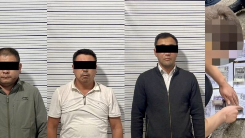Манаста сынактан өткөрүү үчүн окуучулардан пара алган авто мектептин кызматкерлери кармалды