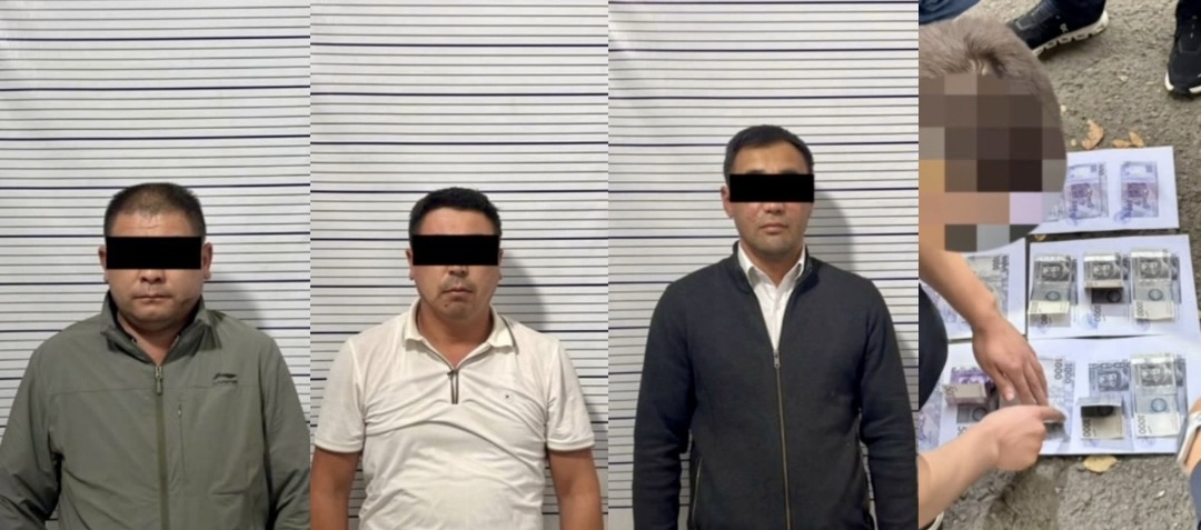 Манаста сынактан өткөрүү үчүн окуучулардан пара алган авто мектептин кызматкерлери кармалды