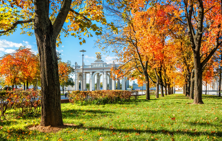 Жашоодон эмнени каалап, эмнеге муктаж экениңизди ойлонууга убакыт бөлүңүз. Шейшемби күнүңүздөр жакшы өтсүн!