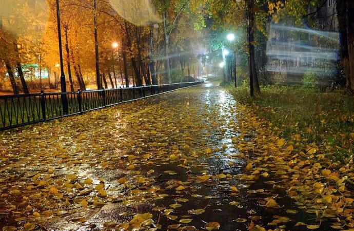 Жамгыр жаап, суук болот. Жылуу кийинип жумушка жөнөңүз!