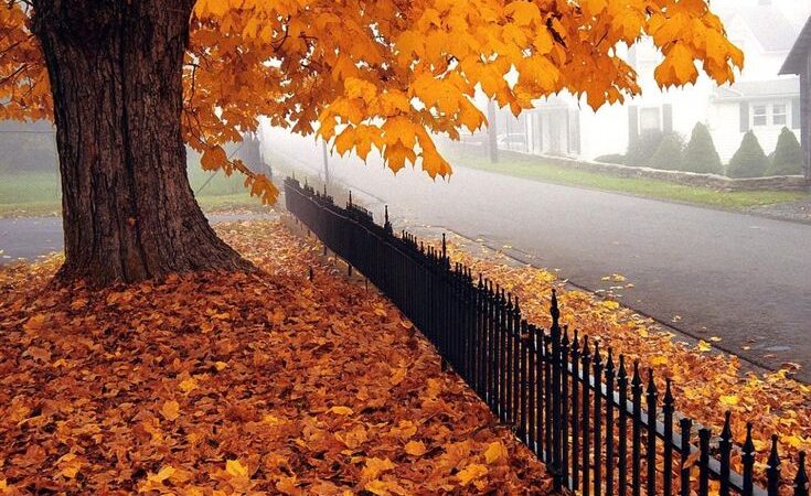 Бүгүн өлкөнүн көпчүлүк аймактарында жамгыр жаашы күтүлөт