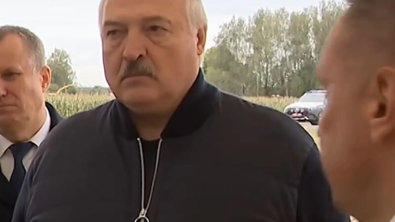 Экпесең — башыңды жулуп алам! Лукашенко айыл чарба кызматкерине катуу айтты