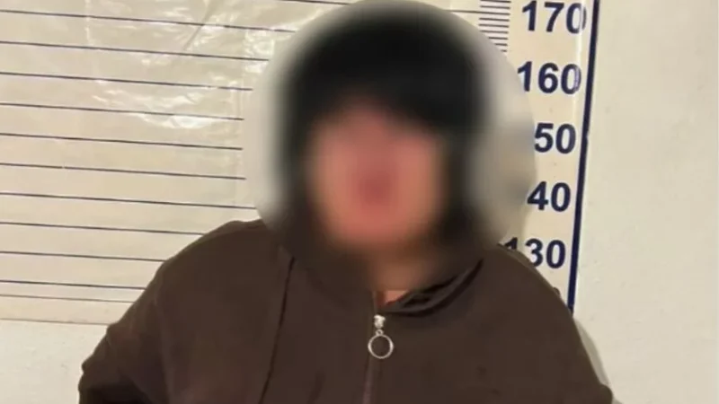Сокулукта бирөөлөрдүн жерин алдап сатып жүргөн аял кармалды