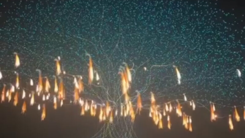 Кытайда 16 миң дрон бир убакта асманга көтөрүлүп, Гиннес жаңыланды
