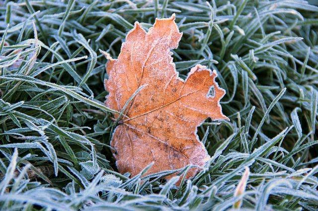 Шашылыш билдирүү! Өлкө аймагында кар жаап, үшүк жүрүшү күтүлөт