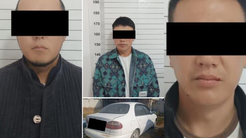 Баткенде 18 жаштагы кызды ала качып кеткен үч жигит кармалды
