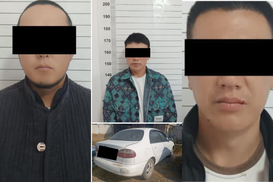 Баткенде 18 жаштагы кызды ала качып кеткен үч жигит кармалды