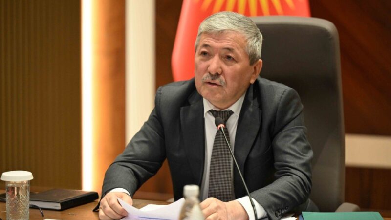 Касымалиев: Салык кызматынын салыктык кирешеси 211,9 млрд сомду түздү
