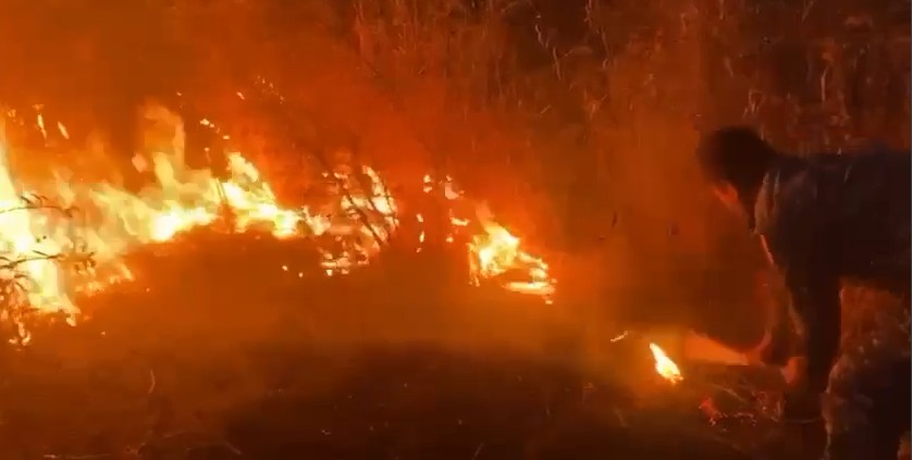 Бир мүнөттүк чечим — ондогон сотых токойду сактап калды