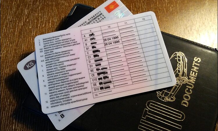 Эми Кыргызстанда айдоочулук күбөлүк алуу үчүн 14 ай окутулат