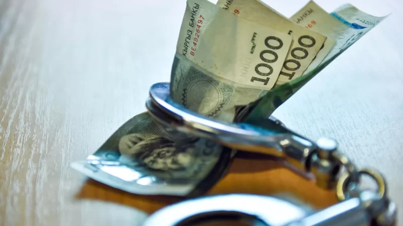 Кыргызстанда мындан ары каржылык кылмыш үчүн соттолгондор ишкана ача албайт