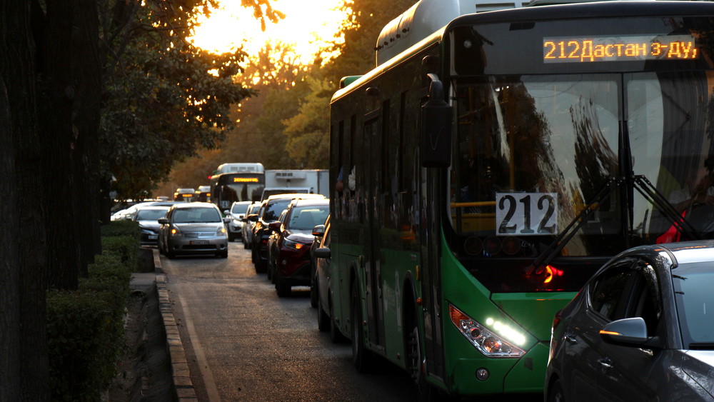 Майып балдарды коштоп жүргөндөргө коомдук транспортто акысыз жүрүү сунушталууда