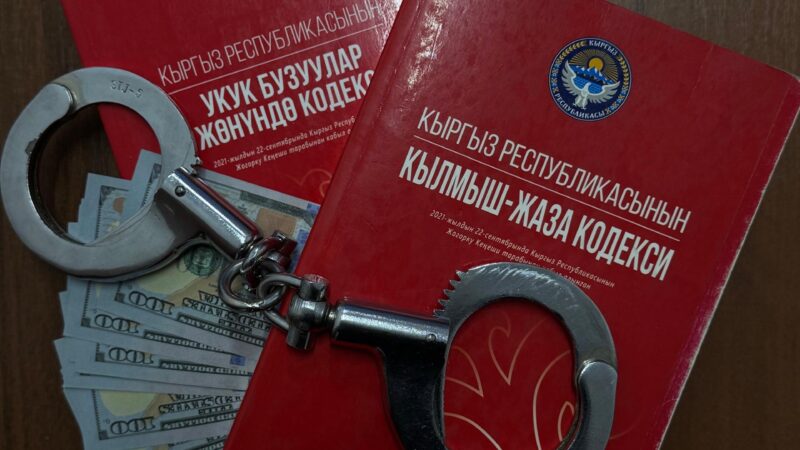 ИИМ жарандарды шайлоо өнөктүгү учурунда мыйзамды сактоого чакырат