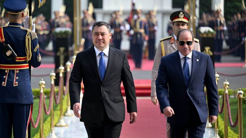 Садыр Жапаров Мисирдин президенти менен жолукту