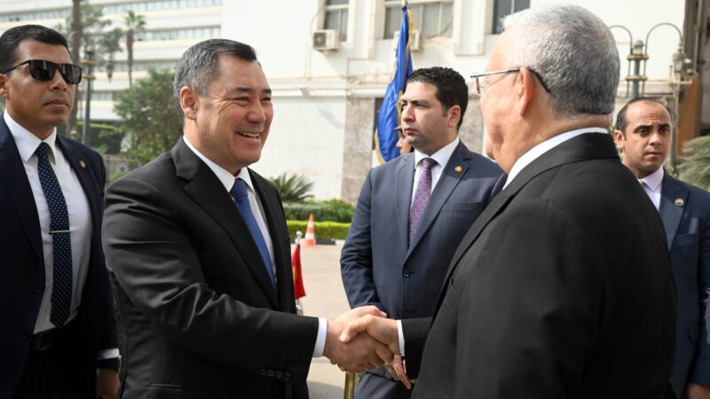 Садыр Жапаров Мисир Парламентинин Өкүлдөр палатасынын спикери менен жолугушту