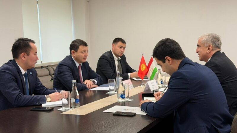 Кыргызстан менен Тажикстан маданий кызматташтыкты чыңдоодо