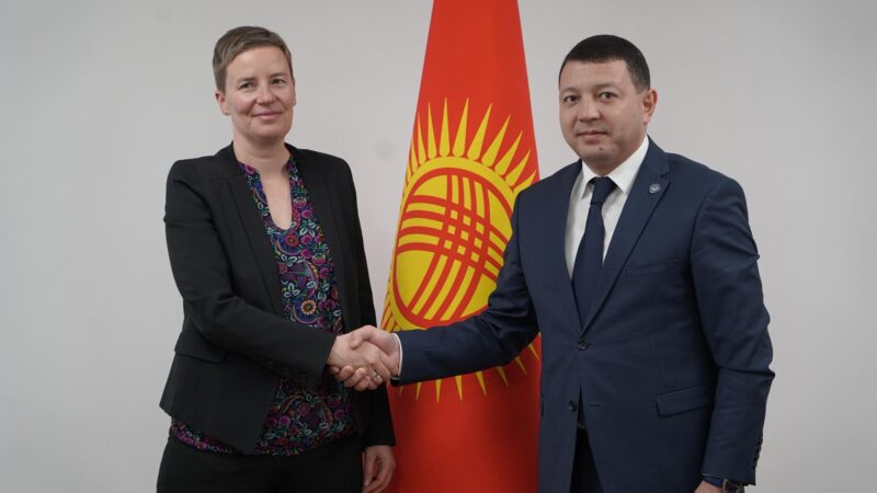 Мирбек Мамбеталиев Германиянын Элчиси Моника Ленхард менен жолукту