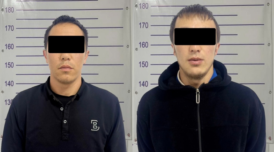 Токтогулда эки жаран 19 килограмм баңгизаты менен кармалды