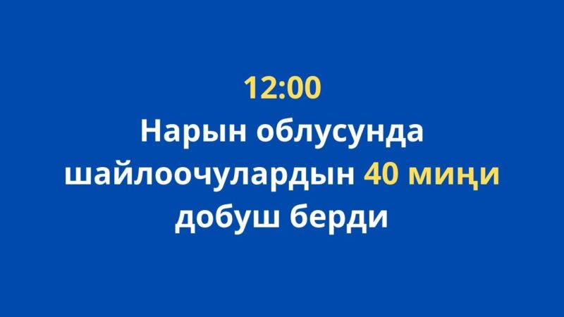 Нарын облусунда 12:00гө карата шайлоочулардын 40 миңи добуш берди