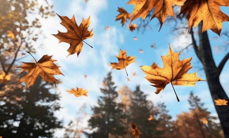 Кутман таң, замандаш! Жуманын башталышы ийгиликтүү улансын!