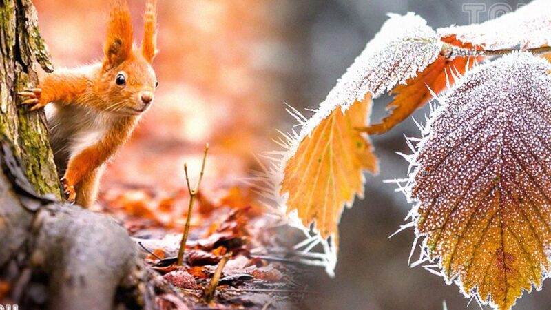 Кутман таң! Жума маарек болсун, окурман! Күнүңүз көңүлдүү өтсүн!