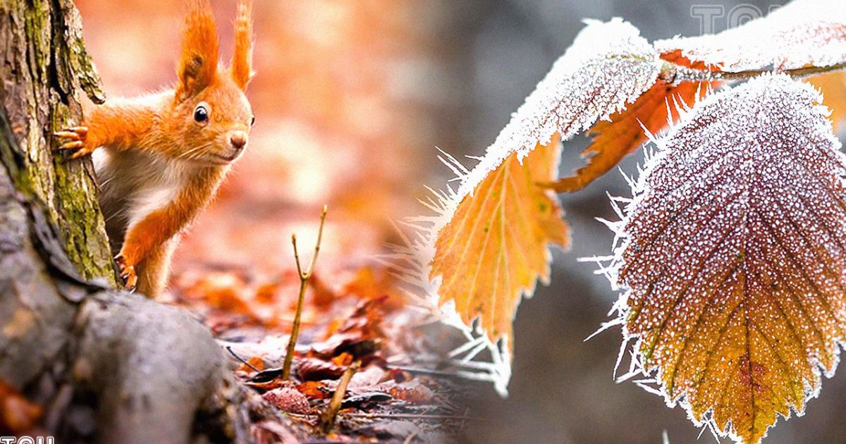 Кутман таң! Жума маарек болсун, окурман! Күнүңүз көңүлдүү өтсүн!