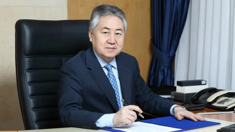 Жээнбек Кулубаев: Кытай жарандары өлкөгө темир жол долбоору үчүн убактылуу тартылды