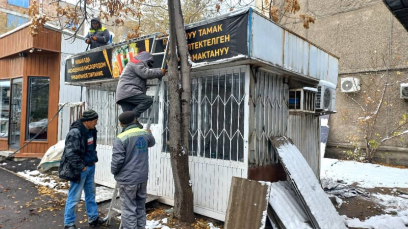 Бишкекте 126 мыйзамсыз жайгашкан жарнама демонтаждалып, айып салынды