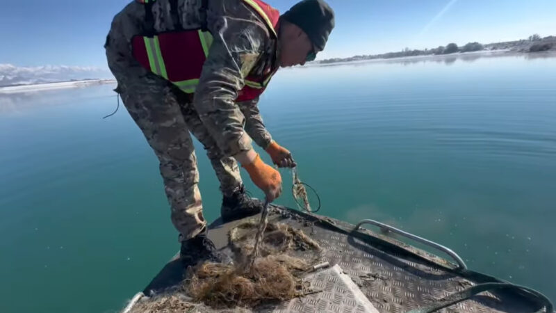 Ысык-Көлдү тазалоо: Түп куймасынан 1700 метр эски торлор чыгарылды