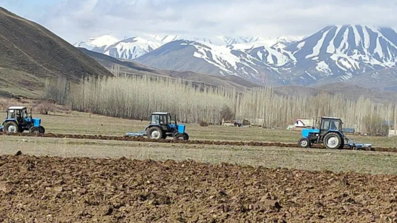 Өлкө аймагында 81 миң 640 гектар аянтта күздүк эгиндер айдалды