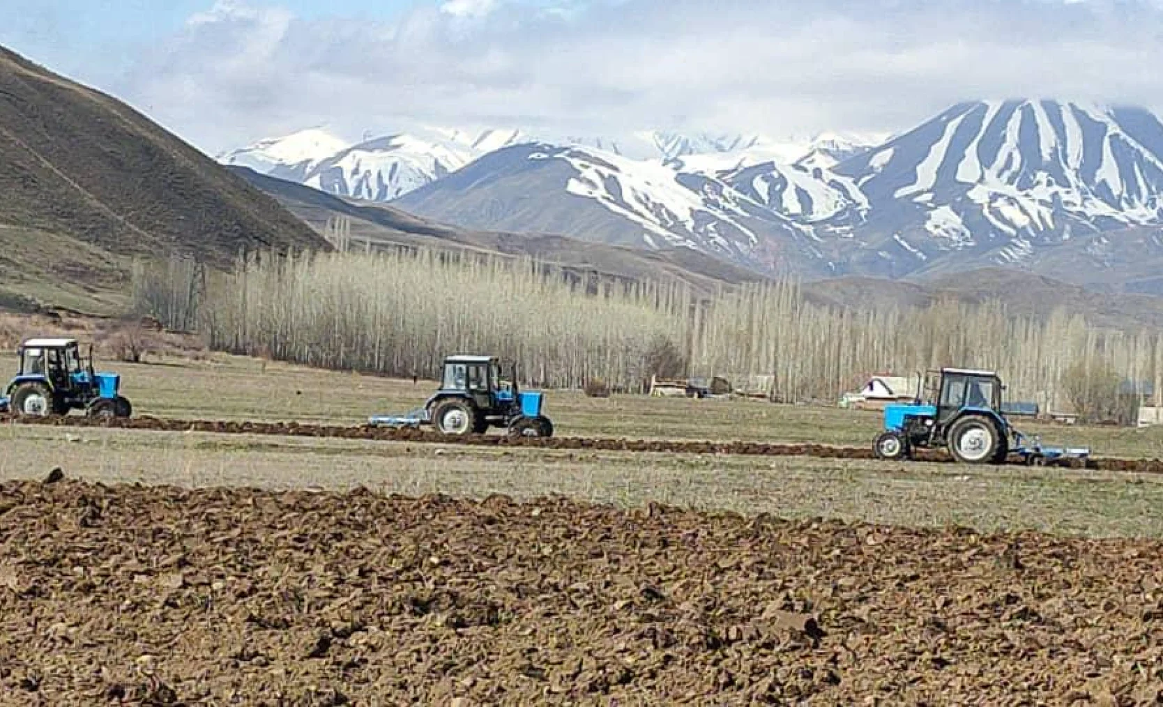 Өлкө аймагында 81 миң 640 гектар аянтта күздүк эгиндер айдалды